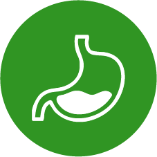 Promotes digestion